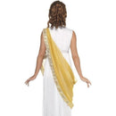 Helen of Troy Costume Adult White Yelllow Dress Tiara 2