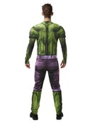 Hulk Mens Classic Costume 3