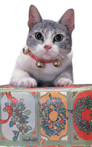 Jingle Cat Collar 1