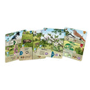 Forest Shuffle Woodland Edge Board Game by Lookout Spiele 3