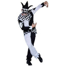 Masked Dark Jester Costume Adult 1