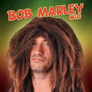 Mens Bob Marley Dreadlock Wigs Male 2