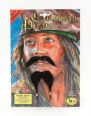 Mens Caribbean Pirate Beard & Tash Moustaches and Beards Male Halloween Costume 1