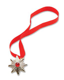 Mens Dracula Medallion Costume Accessories Male Halloween 1