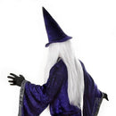 Mens Wizard Costume Robe Adult Male Halloween 4