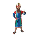 Nativity Wise Man Costume Child Nativity King 1