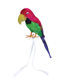 Parrot Feather Covered 15 Inch Pirate Costume Accessory 1