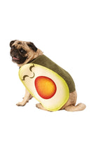 Pet Avocado Costume 1