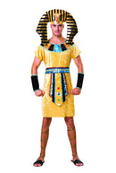 Pharaoh Costume Adult Egyptian God 1