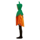 Pumpkin Hooded Cape Child Orange 3