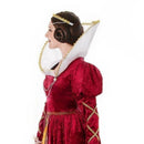 Queen Elizabeth Costume Adult Elizabethan Dress 3