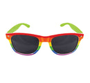 Rainbow Dark Lens Glasses Costume Accessories 1
