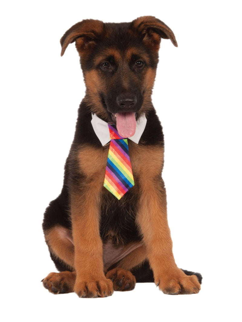 Rainbow Tie Pet Costume_1