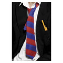 School Tie Adult Red Blue 2