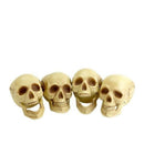 Skull Heads Adult Natural 4 off 16cm Halloween Accessory 1