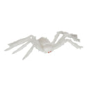 Spider Hairy White 33 Animal Kingdom Unisex 1