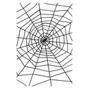 Spider and Spiders Web Adult Black 2
