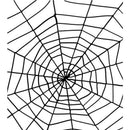 Spider and Spiders Web Adult Black 1
