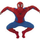 Spiderman Costume 1