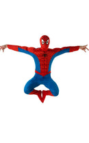 Spiderman EVA Muscle Chest With Hood Costume 1