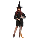 Spooky Witch Costume Adult Black Dress Hat Belt 2