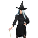 Spooky Witch Costume Adult Black Dress Hat Belt 1