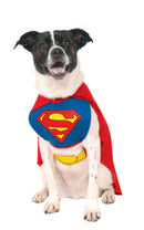 Superman Dog Costume 1