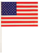Usa Flag Hand Waving 1