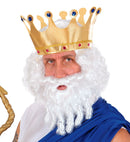 Character Curly Locks Wig & Beard White - In Box