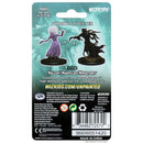 Dungeons and Dragons Nolzurs Marvelous Miniatures Wraith and Specter Miniatures Game Accessory