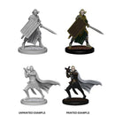 Pathfinder Deep Cuts Unpainted Miniatures: Elf Male Paladin 1