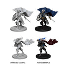 Pathfinder Deep Cuts Unpainted Miniatures: Elf Female Paladin 1