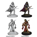 Pathfinder Deep Cuts Unpainted Miniatures: Human Female Bard 1