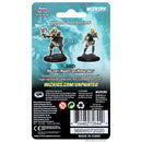 Human Female Barbarian D and D Nolzurs Marvelous Unpainted Miniatures W1 Miniature Game by Wiz Kids 2