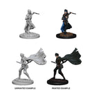 Pathfinder Deep Cuts Unpainted Miniatures: Elf Female Rogue 1