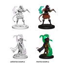 D&D Unpainted Miniatures: Tiefling Female Sorcerer 1