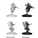 D&D Unpainted Miniatures: Air Genasi Female Rogue 1