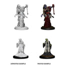 D&D Unpainted Miniatures: Green Hag & Night Hag 1
