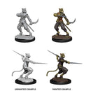 D&D Nolzur's Marvelous Unpainted Miniatures: Male Tabaxi Rogue 1