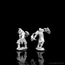 Dungeons and Dragons Nolzurs Marvelous Unpainted Miniatures Male Goliath Fighter Roleplaying Game Accessory