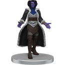 Critical Role: The Tombtakers Boxed Set 1