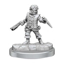D&D Frameworks: Male Halfling Rogue 4
