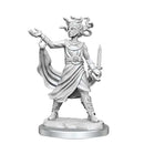 D&D Frameworks: Medusa 2