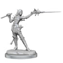 Pathfinder Legendary Cuts: Female Elf Rogue 2