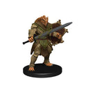 Dungeons & Dragons: Trials of Tempus Board Game - Premium Edition 5