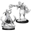 Arcanaloth & Ultroloth: D&D Nolzur's Marvelous Unpainted Miniatures (W11) 1