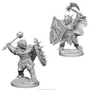 D&D Nolzur's Marvelous Miniatures - Male Dragonborn Paladin 1