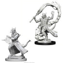 D&D Nolzur's Marvelous Miniatures - Male Tiefling Sorcerer 1