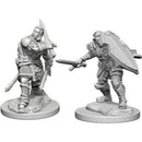D&D Nolzur's Marvelous Miniatures - Male Human Paladin 1