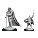 D&D Nolzur's Marvelous Miniatures: Human Paladin Male 1